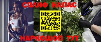 прущие грибы Кудымкар