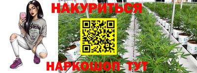 прущие грибы Кудымкар