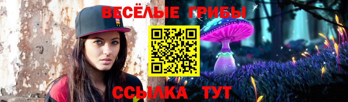 Борзя  Псилоцибиновые грибы ЛСД  Вход с VPN 